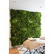 Greenmoods Kunstig Plantevegg Freshness 100x100 cm UV
