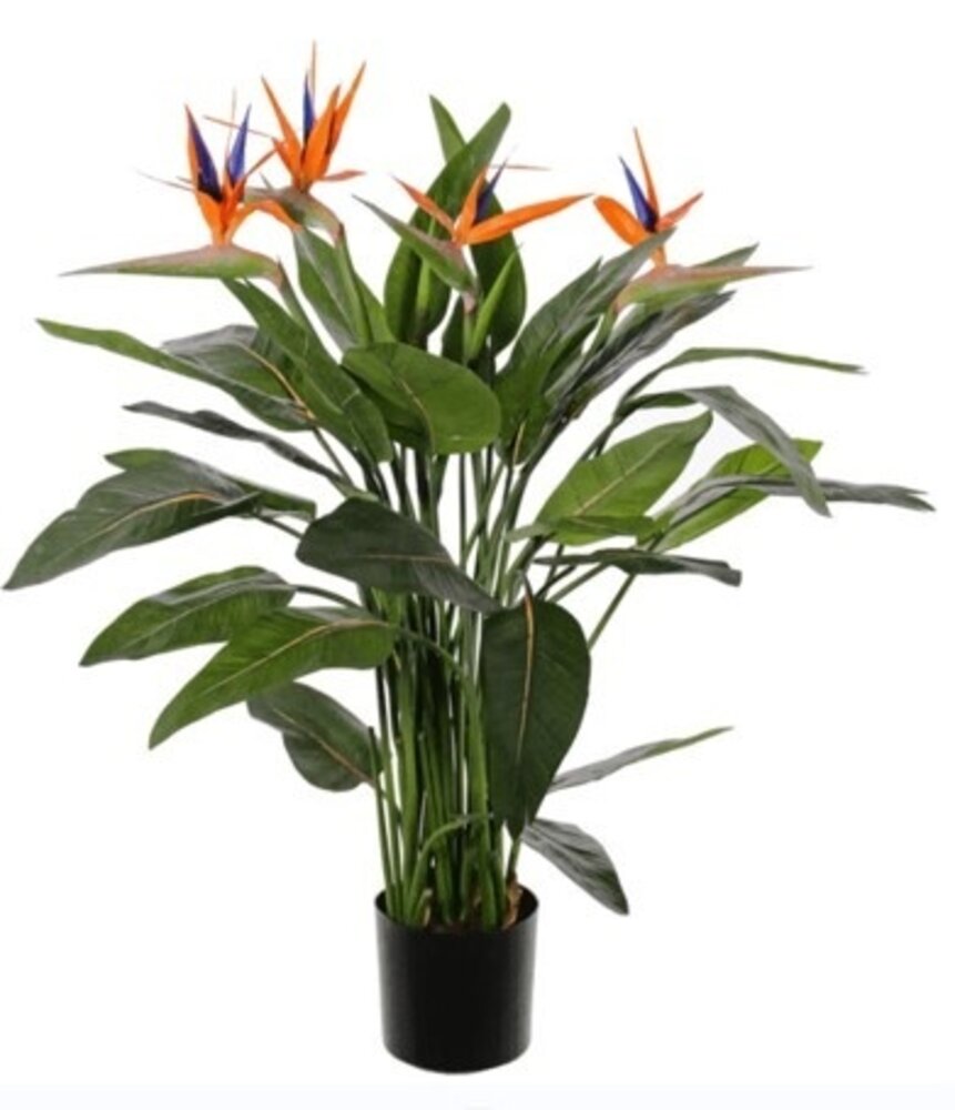 Greenmoods Kunstig Strelitzia 120 cm