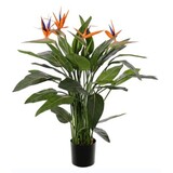 Greenmoods Kunstig Strelitzia 120 cm