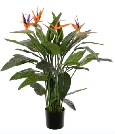 Greenmoods Kunstig Strelitzia 120 cm