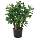 Greenmoods Kunstig Jade 45 cm