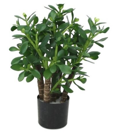 Greenmoods Kunstig Jade 45 cm
