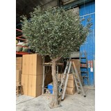 Greenmoods Kunstig Oliventre 300 cm