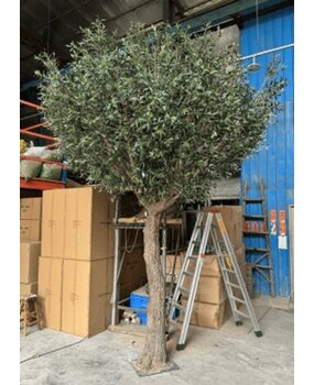 Greenmoods Kunstig Oliventre 300 cm