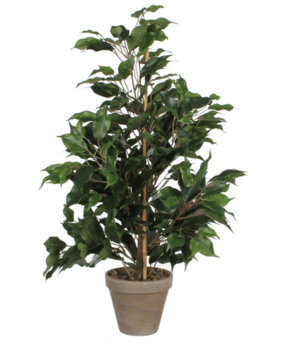Greenmoods Kunstig Ficus 60 cm i potte