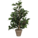 Greenmoods Kunstig Ficus 60 cm i potte