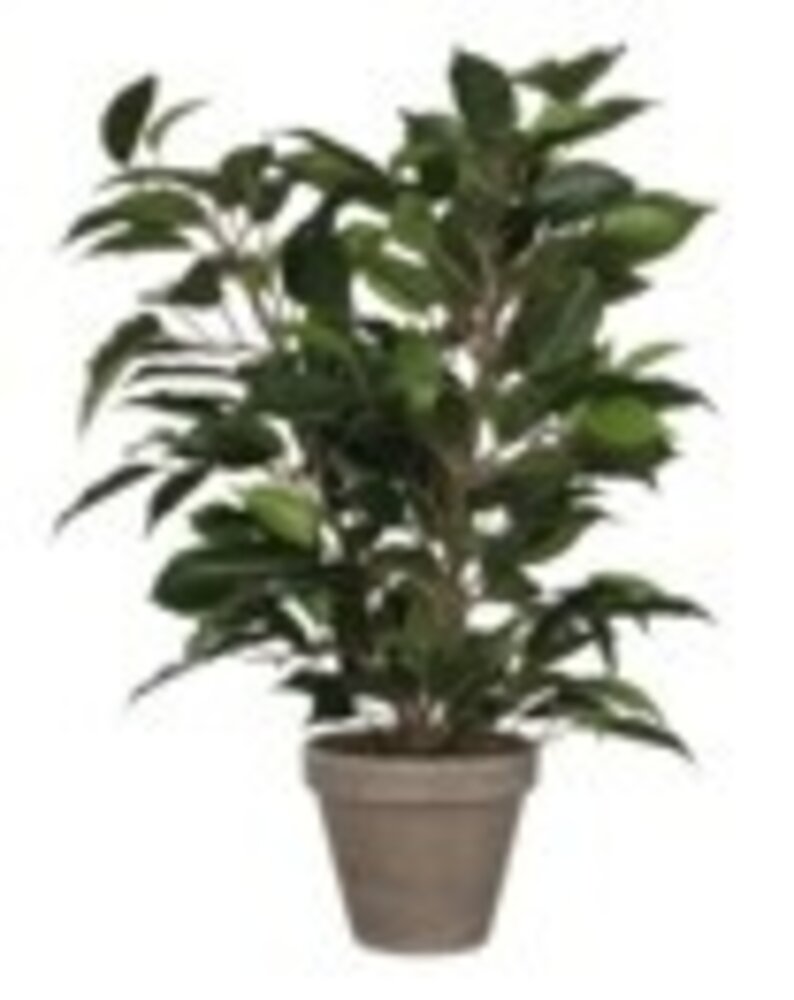 Greenmoods Kunstig Mini Ficus 45 cm i potte