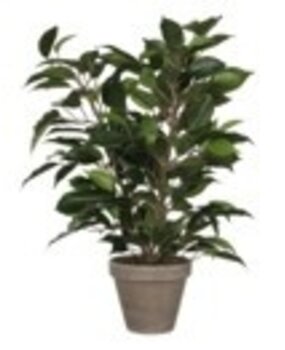 Greenmoods Kunstig Mini Ficus 45 cm i potte