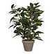 Greenmoods Kunstig Mini Ficus 45 cm i potte