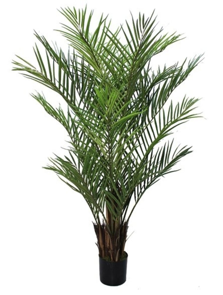 Greenmoods Kunstig Areca 180 cm