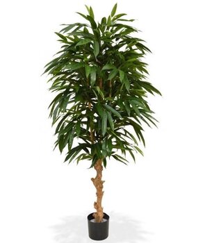 Greenmoods Kunstig Longfolia 120 cm