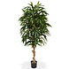 Greenmoods Kunstig Longfolia 120 cm