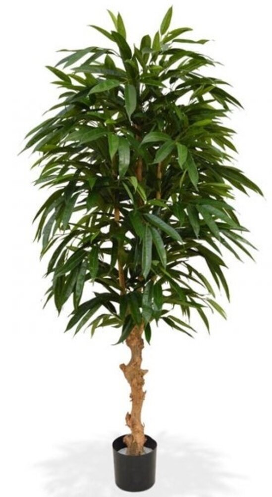 Greenmoods Kunstig Longfolia 150 cm