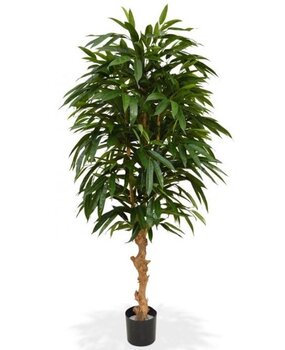 Greenmoods Kunstig Longfolia 150 cm