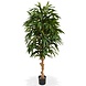 Greenmoods Kunstig Longfolia 150 cm