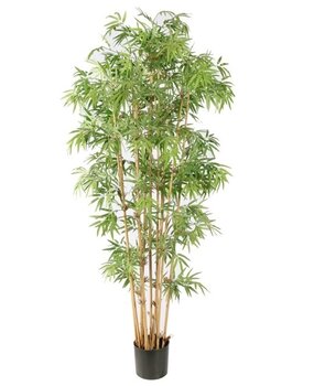 Greenmoods Kunstig Japansk bambus 180 cm