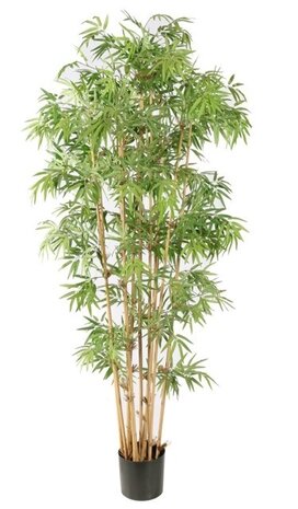 Greenmoods Kunstig Japansk bambus 180 cm