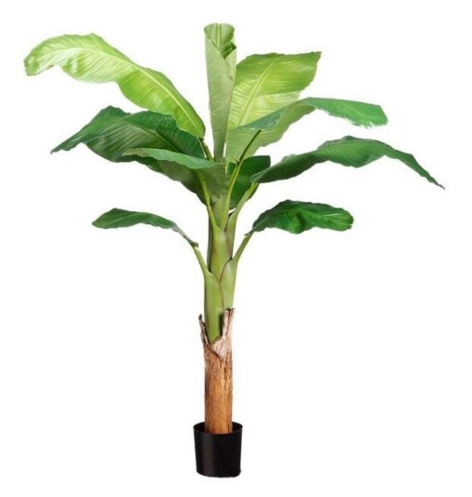 Greenmoods Kunstig Banantre 120 cm