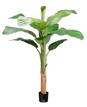 Greenmoods Kunstig Banantre 150 cm