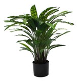 Greenmoods Kunstig Calathea 60 cm
