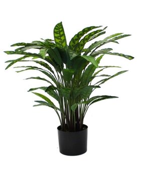 Greenmoods Kunstig Calathea 60 cm