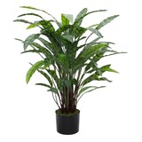 Greenmoods Kunstig Calathea 85 cm