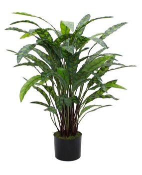 Greenmoods Kunstig Calathea 85 cm
