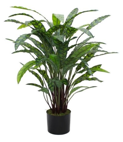 Greenmoods Kunstig Calathea 85 cm