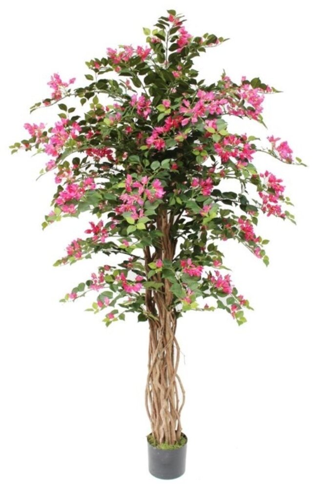 Greenmoods Kunstig Bougainvillea 180 cm