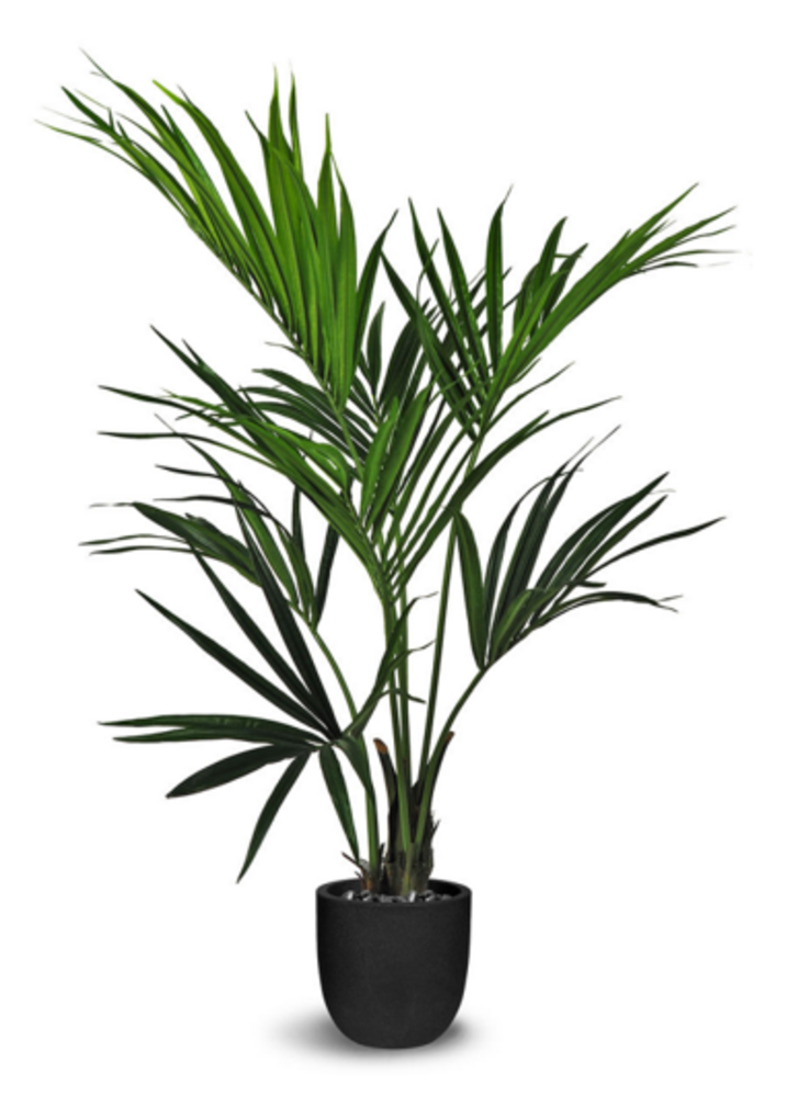 Greenmoods Kunstig Kentia Palme 120 cm