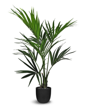 Greenmoods Kunstig Kentia Palme 120 cm