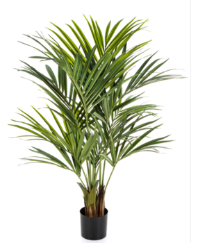 Greenmoods Kunstig Kentia Palme 150 cm