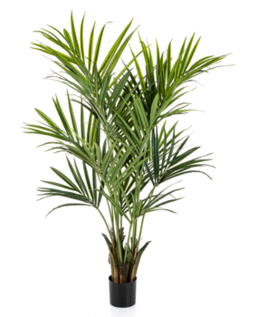 Greenmoods Kunstig Kentia Palme 180 cm