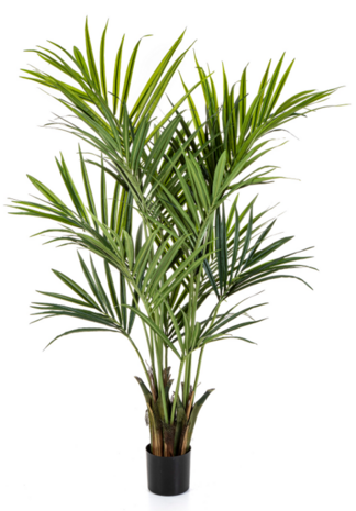 Greenmoods Kunstig Kentia Palme 180 cm