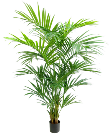 Greenmoods Kunstig Kentia Palme 210 cm