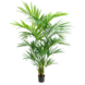 Greenmoods Kunstig Kentia Palme 210 cm