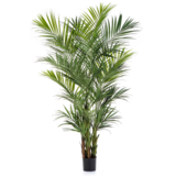 Greenmoods Kunstig Kentia Palme 240 cm