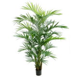 Greenmoods Kunstig Kentia Palme 270 cm