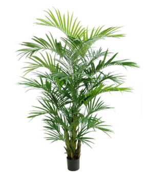 Greenmoods Kunstig Kentia Palme 270 cm