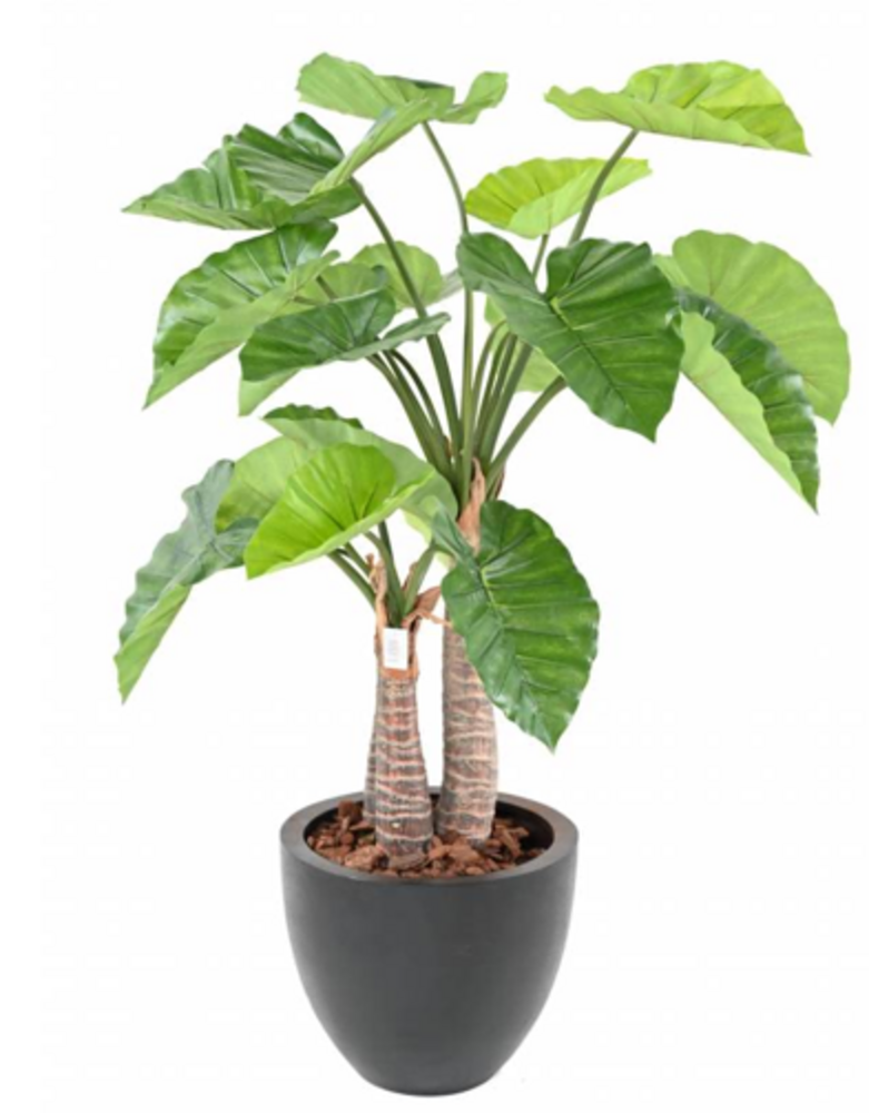 Greenmoods Kunstig Alocasia 120 cm