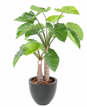 Greenmoods Kunstig Alocasia 120 cm