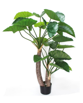 Greenmoods Kunstig Alocasia 150 cm