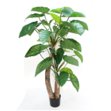 Greenmoods Kunstig Alocasia 180 cm