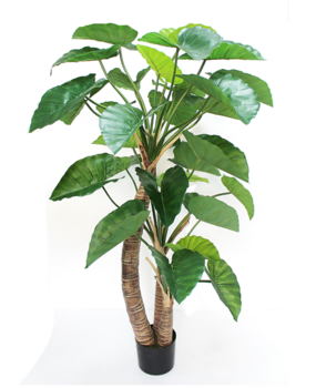 Greenmoods Kunstig Alocasia 180 cm