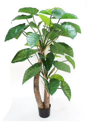 Greenmoods Kunstig Alocasia 180 cm
