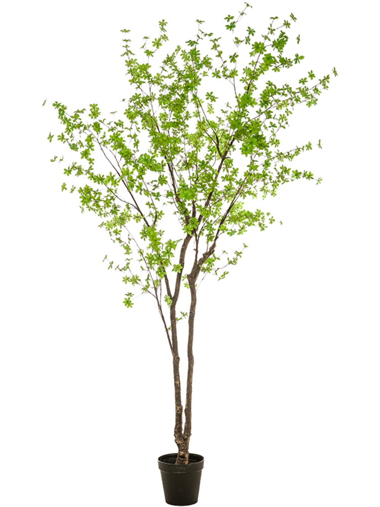 Greenmoods Kunstig Enkianthus Løvtre 300 cm Greenmoods Kunstig Enkianthus Løvtre 300 cm