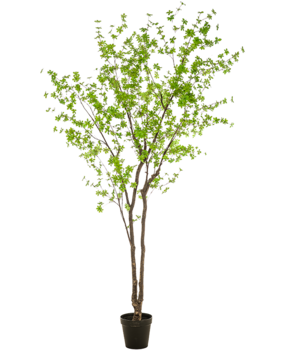 Greenmoods Kunstig Enkianthus Løvtre 300 cm Greenmoods Kunstig Enkianthus Løvtre 300 cm