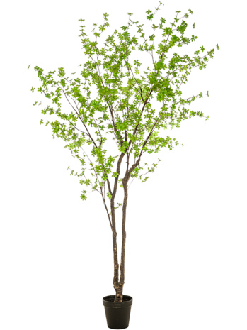 Greenmoods Kunstig Enkianthus Løvtre 300 cm Greenmoods Kunstig Enkianthus Løvtre 300 cm