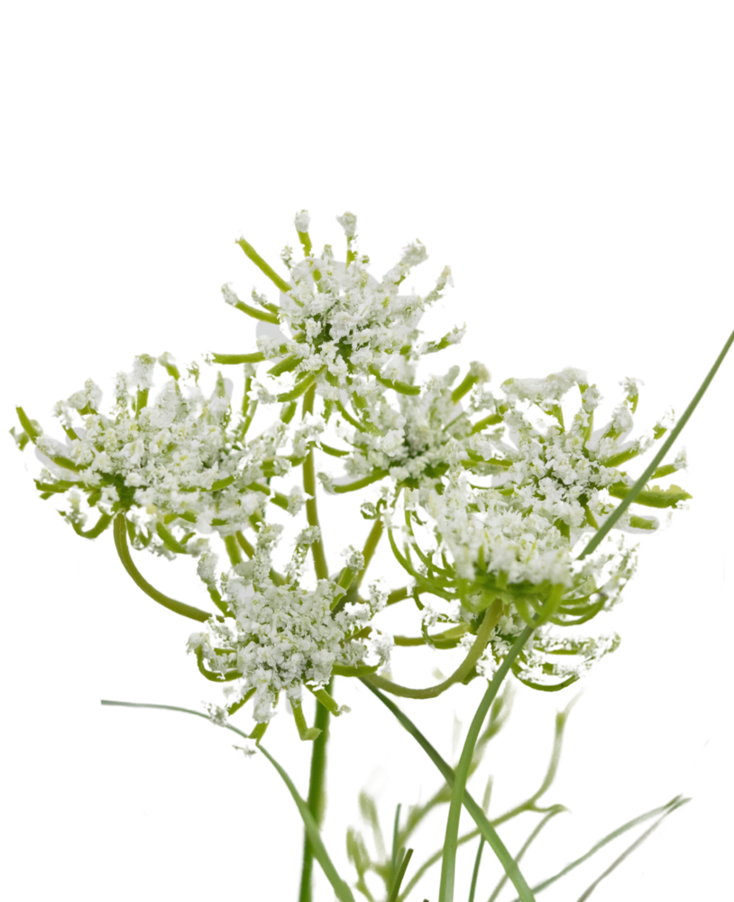 Greenmoods Kunstig Løkgress Frodig 50cm Brannsikker