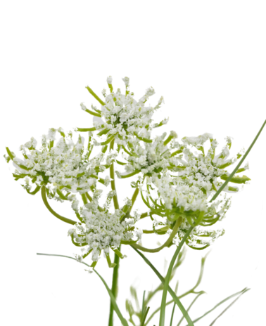 Greenmoods Kunstig Løkgress Frodig 50cm Brannsikker